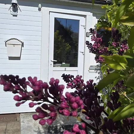 Ferienhaus House Close To Min Of 4-8 Guests Palanga
