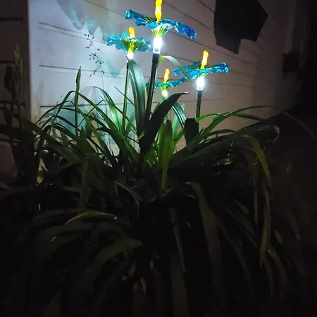 House Close To Min Of 4-8 Guests